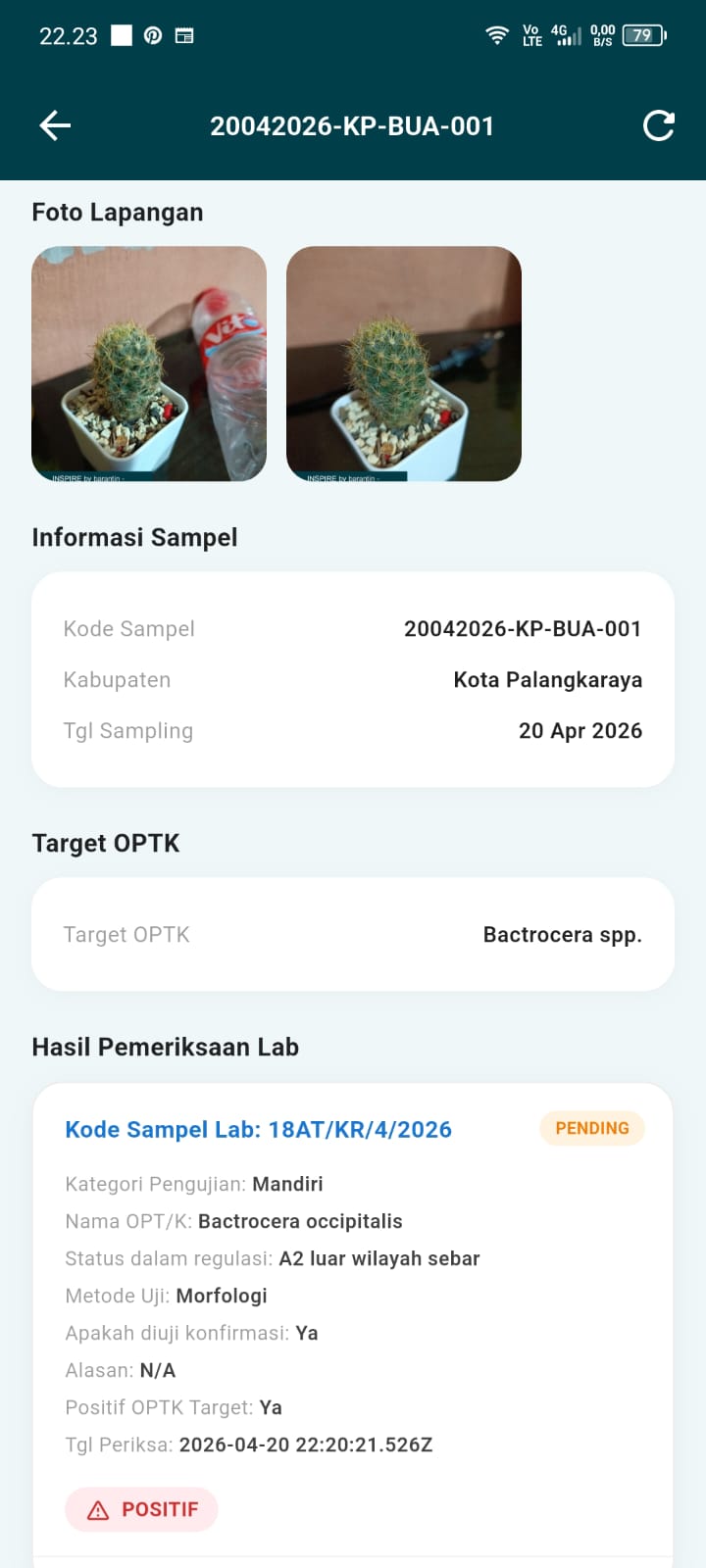 Lab Detail